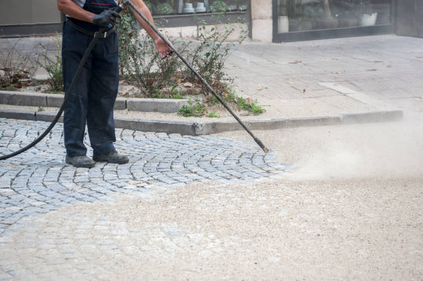 Best Roof Cleaning and Mildew Removal in Louise, TX