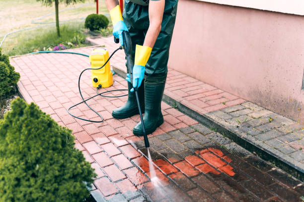 Best Concrete Surface Cleaning in Louise, TX