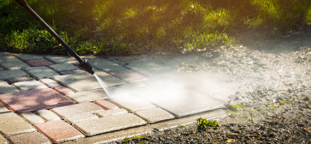 Best Soft Washing for Delicate Surfaces in Louise, TX